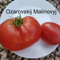 Malinovyj Ozarovskij 
